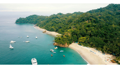 At risus pretium urna tortor metus fringilla  at elit Vestibulum