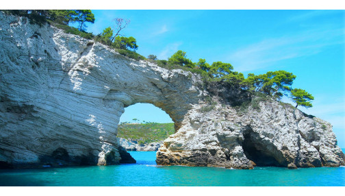 Ipsum cursus vestibulum at interdum Vivamuset dolore magna aliqua.