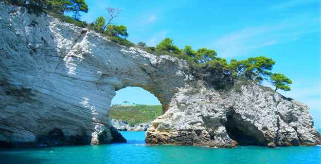 Ipsum cursus vestibulum at interdum Vivamuset dolore magna aliqua.