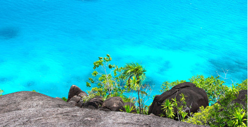 Urna pretium elit mauris cursus Curabitur at elit Vestibulum