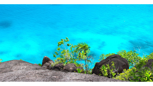 Urna pretium elit mauris cursus Curabitur at elit Vestibulum