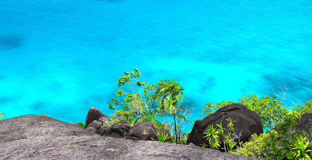 Urna pretium elit mauris cursus Curabitur at elit Vestibulum