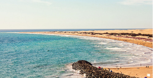 Urna pretium elit mauris cursus Curabitur at elit Vestibulum