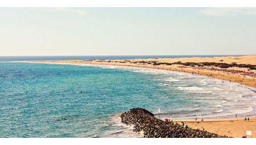 Urna pretium elit mauris cursus Curabitur at elit Vestibulum