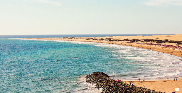 Urna pretium elit mauris cursus Curabitur at elit Vestibulum