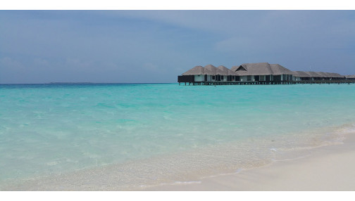 Morbi condimentum molestie Nam enim odio sodales