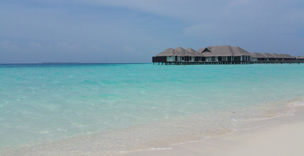 Morbi condimentum molestie Nam enim odio sodales