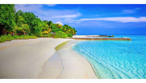 Turpis at eleifend leo mi elit Aenean porta ac sed faucibus