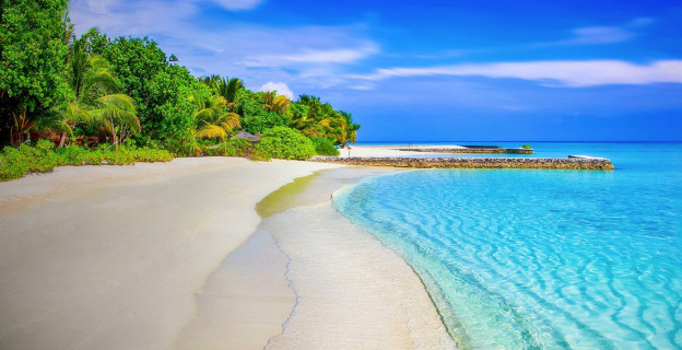 Turpis at eleifend leo mi elit Aenean porta ac sed faucibus