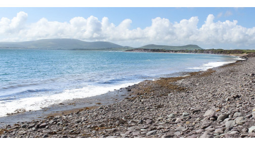 Nullam ullamcorper nisl quis ornare molestie dolor sit amet, consectetur